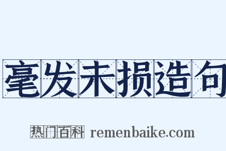 毫发未损造句是什么意思的图片